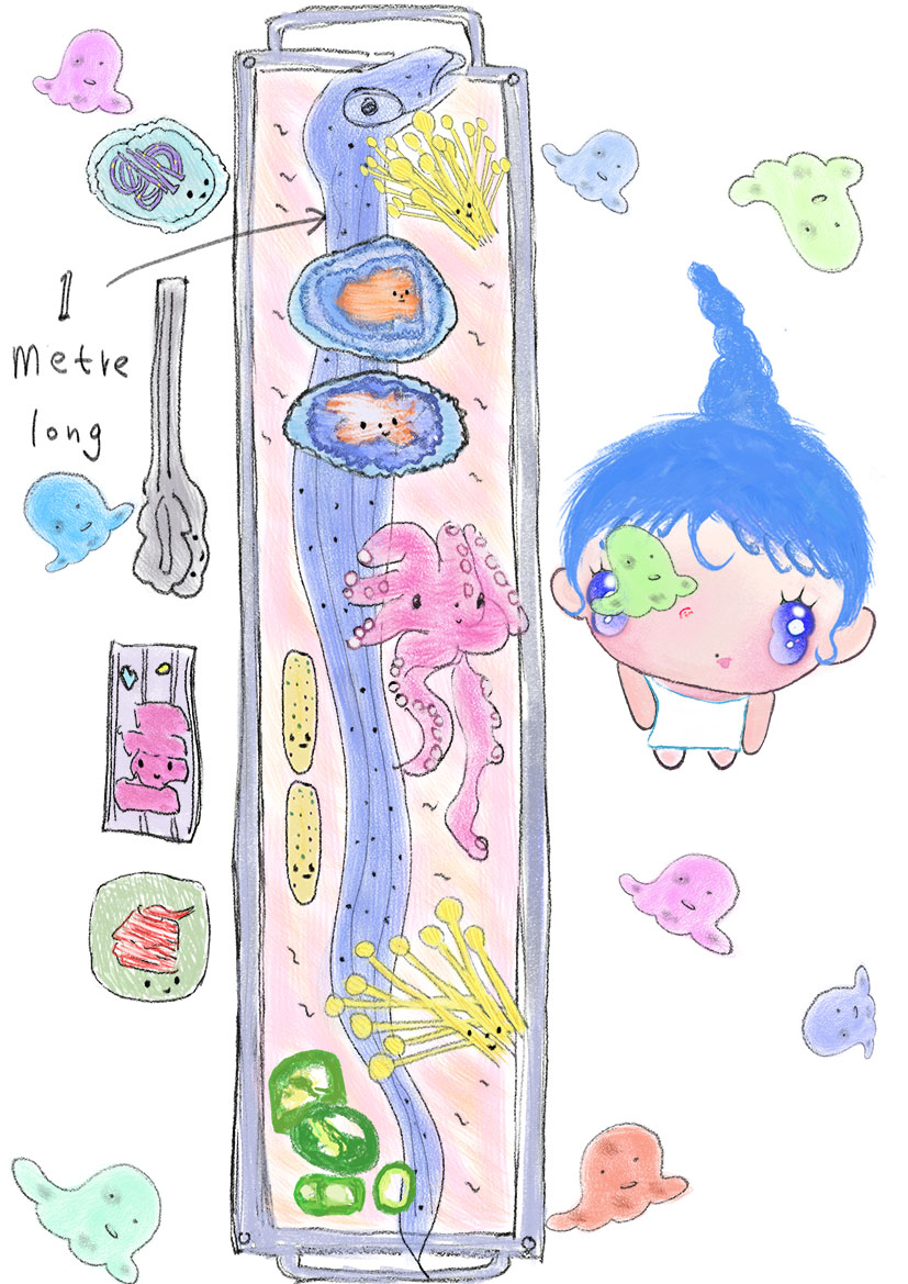 Illustration work